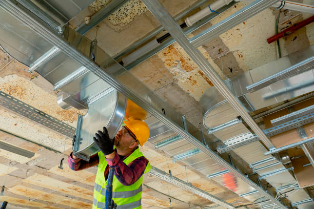 Best Furnace Cleaning in Wenona, IL